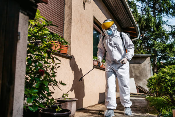 Best Emergency Pest Control  in Robinhood, MS