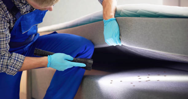Best Affordable Pest Control Services  in Robinhood, MS